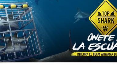Top Shark: eliminados, nominados y destacados ¡El desafío continúa! Top Shark: eliminados, nominados y destacados ¡El desafío continúa!