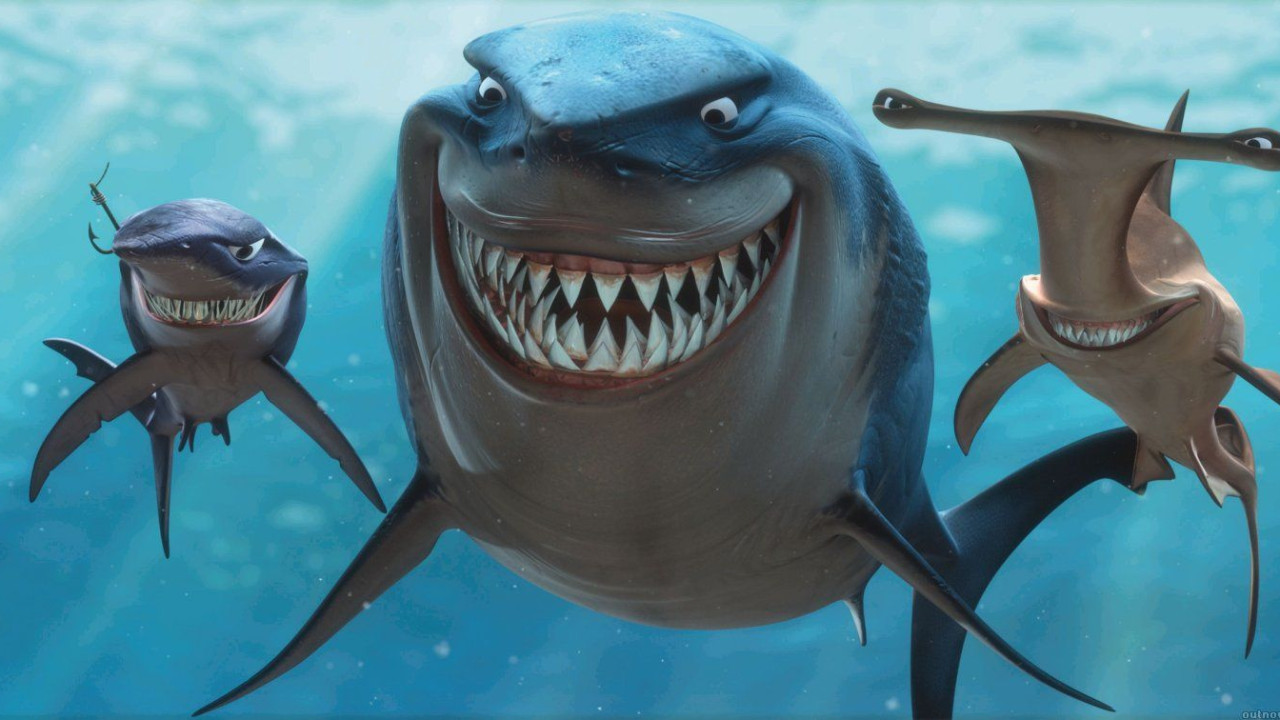 Máxima igualdad en la última jornada de la Top Shark Academy Máxima igualdad en la última jornada de la Top Shark Academy