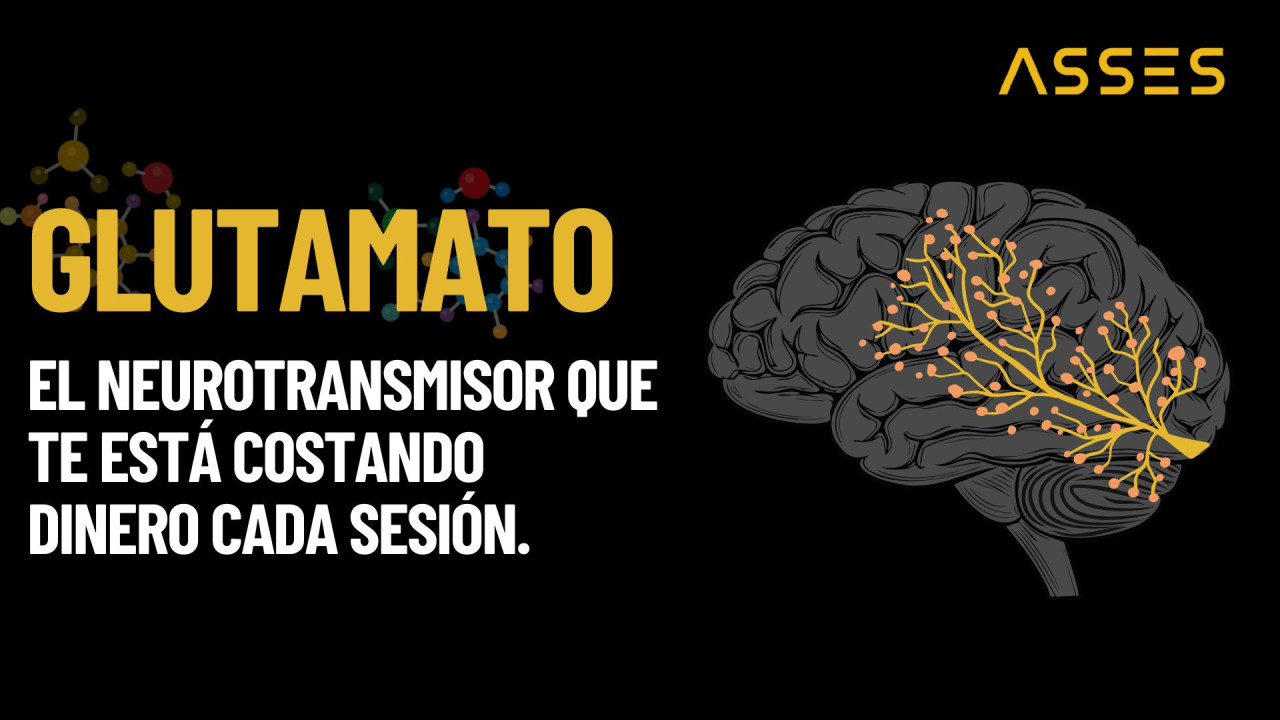 Glutamato: el neurotransmisor que no conoces y que te está costando dinero cada sesión