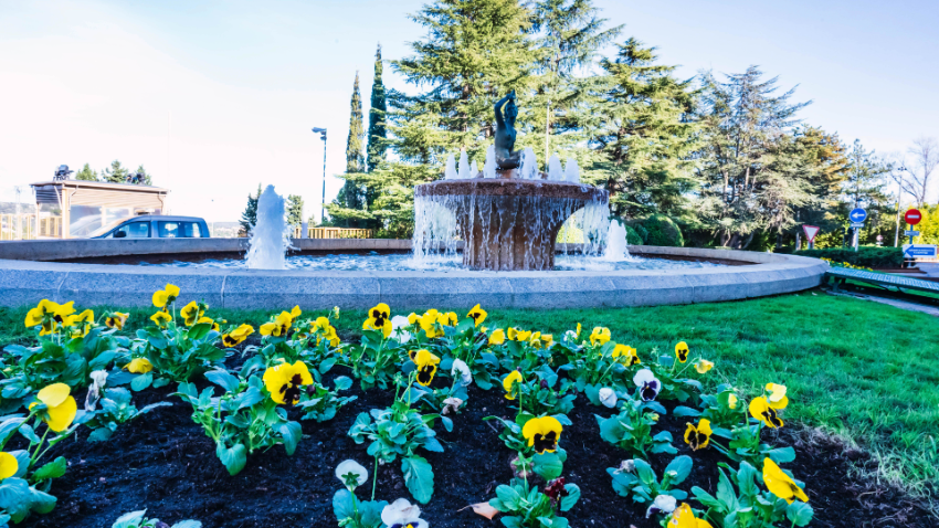 ¡Bienvenidos a la Gran Final del CNP888! 