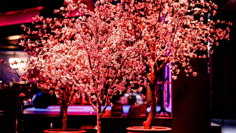 Break de cena en el Main Event